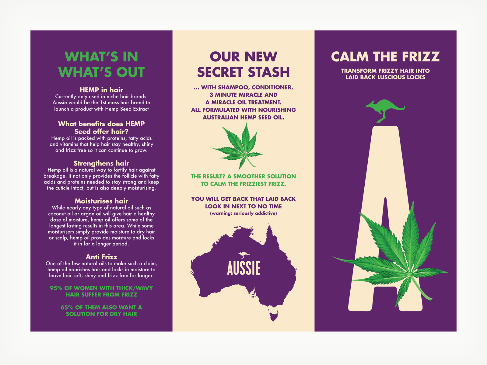 Procter & Gamble Beauty Care; Aussie Haircare Restage Leaflets